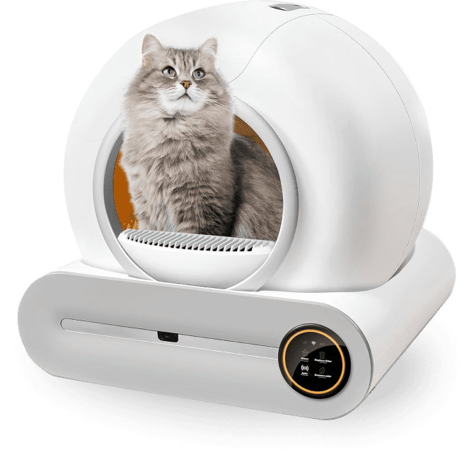 hm-bnr-product-image