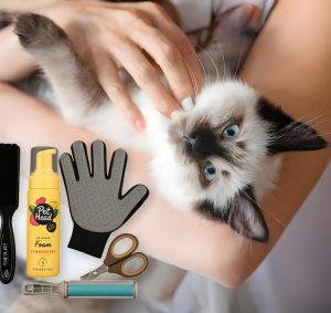 Chat hygiénique (kit d'hygiène 5 en 1)
