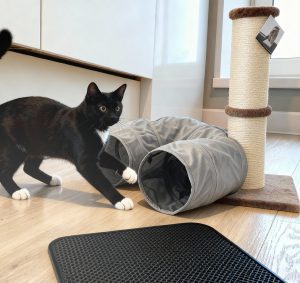 Station de jeu et de nettoyage