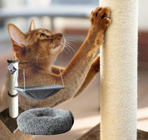 Oasis de perchage et de grattage